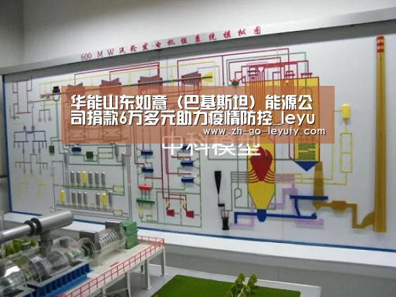 华能山东如意(巴基斯坦)能源公司捐款6万多元助力疫情防控_leyu sports(图3) 乐鱼VIP注册app下载