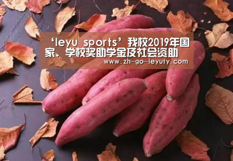 ‘leyu sports’我校2019年国家、学校奖助学金及社会资助项目评审工作顺利完成(图2) 乐鱼体育