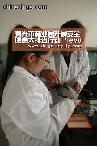 寿光市林业局开展安全隐患大排查行动‘leyu sports’(图1) 登录入口