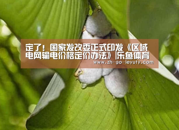 定了!国家发改委正式印发《区域电网输电价格定价办法》|乐鱼体育(图1) 登录入口