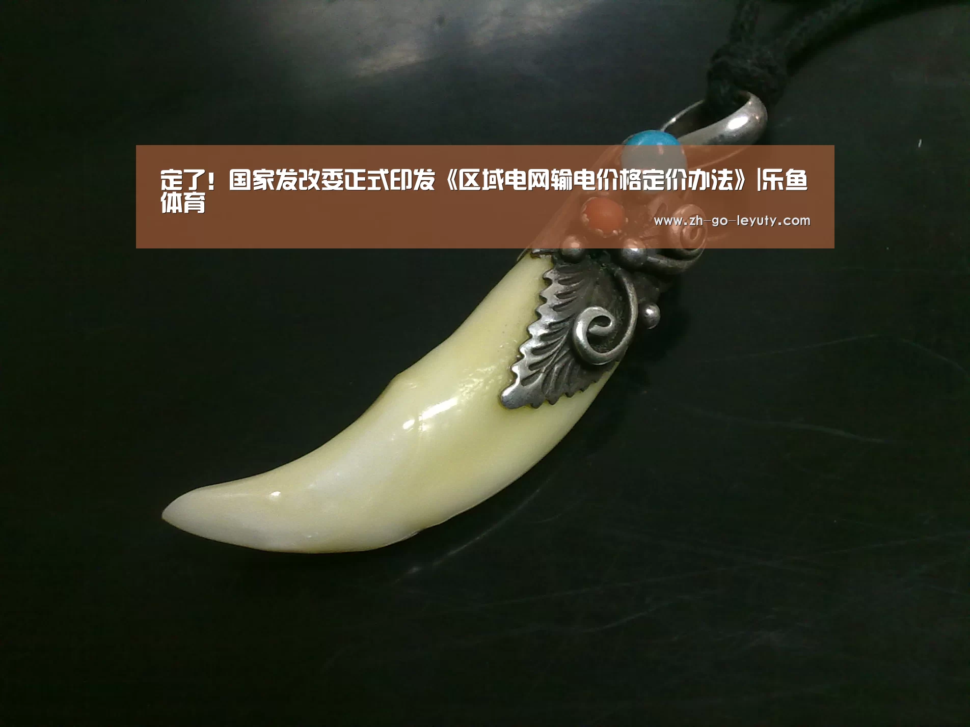 定了!国家发改委正式印发《区域电网输电价格定价办法》|乐鱼体育(图2) 乐鱼VIP注册app下载
