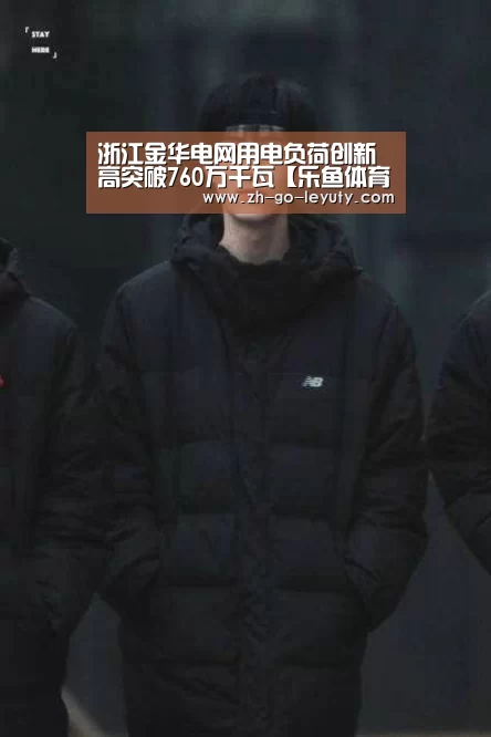 浙江金华电网用电负荷创新高突破760万千瓦【乐鱼体育】(图3) 乐鱼体育