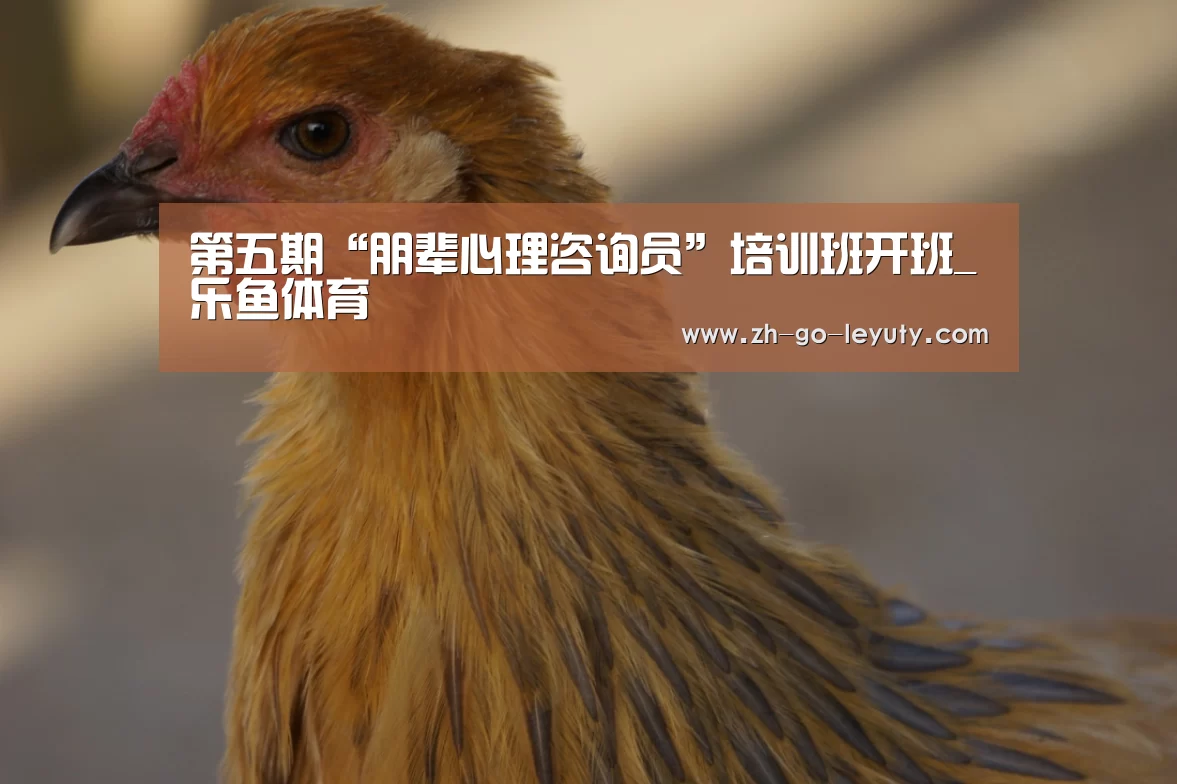 第五期“朋辈心理咨询员”培训班开班_乐鱼体育(图3) 乐鱼体育