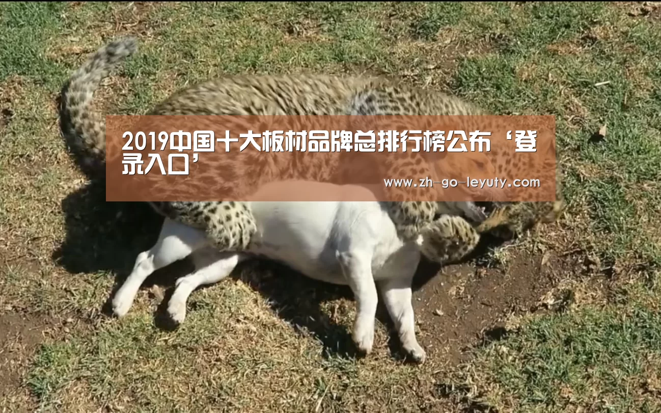 2019中国十大板材品牌总排行榜公布‘登录入口’(图1) 登录入口
