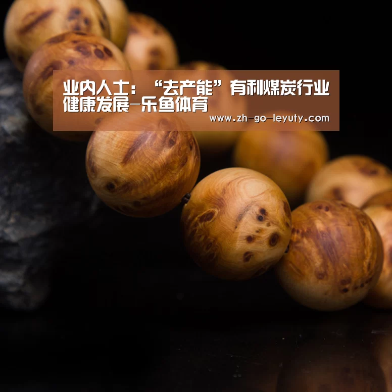 业内人士:“去产能”有利煤炭行业健康发展-乐鱼体育(图2) 乐鱼VIP注册app下载